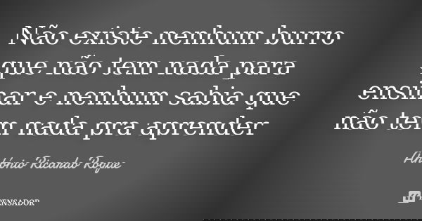 Não existe nenhum burro que não tem nada para ensinar e nenhum sabia que não tem nada pra aprender... Frase de Antonio ricardo Roque.