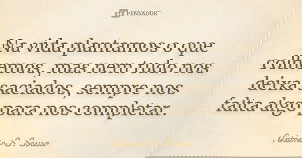 Na vida plantamos o que colhemos, mas nem tudo nos deixa saciados, sempre nos falta algo para nos completar.... Frase de Antonio S. Sousa.