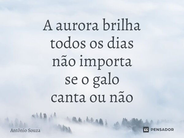 ⁠A aurora brilha todos os dias não importa se o galo canta ou não... Frase de Antonio Souza.