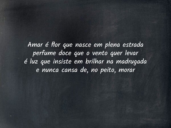 Amar é flor que nasce em plena estrada perfume doce que o vento quer levar é luz que insiste em brilhar na madrugada e nunca cansa de, no peito, morar... Frase de Antonio Souza.