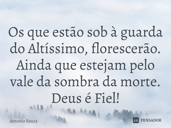 ⁠Os que estão sob à guarda do Altíssimo,florescerão.
Ainda que estejampelo vale da sombra da morte. Deus é Fiel!... Frase de Antonio Souza.
