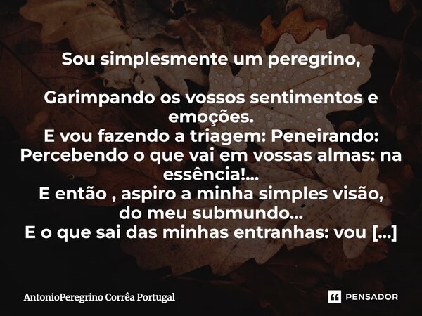 Sou simplesmente um peregrino, Garimpando os vossos sentimentos e emoções. E vou fazendo a triagem: Peneirando: Percebendo o que vai em vossas almas: na essênci... Frase de AntonioPeregrino Corrêa Portugal.