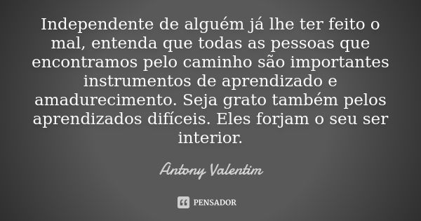 Independente de alguém já lhe ter feito o mal, entenda que todas as pessoas que encontramos pelo caminho são importantes instrumentos de aprendizado e amadureci... Frase de Antony Valentim.