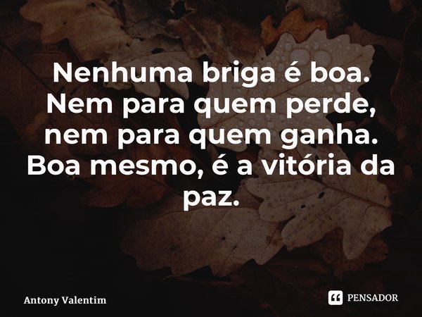 Nenhuma briga é boa. Nem para quem perde, nem para quem ganha. Boa mesmo, é a vitória da paz. ⁠... Frase de Antony Valentim.