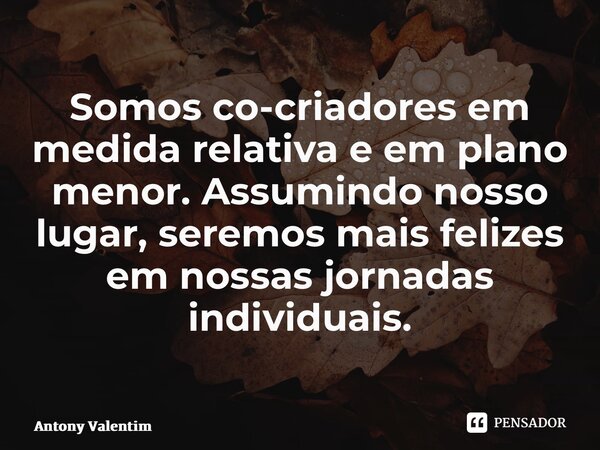 ⁠Somos co-criadores em medida relativa e em plano menor. Assumindo nosso lugar, seremos mais felizes em nossas jornadas individuais.... Frase de Antony Valentim.
