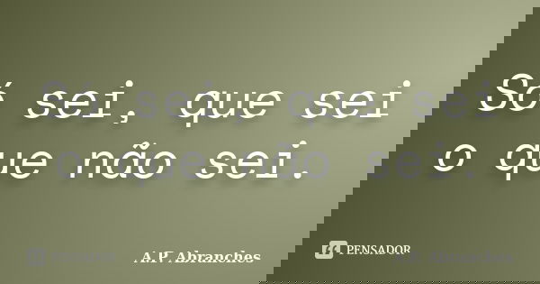 Só sei, que sei o que não sei.... Frase de A.P.Abranches.