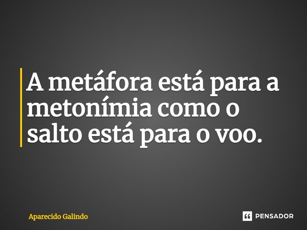 ⁠A metáfora está para a metonímia como o salto está para o voo.... Frase de Aparecido Galindo.