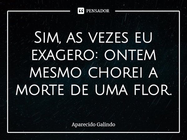 ⁠Sim, as vezes eu exagero: ontem mesmo chorei a morte de uma flor.... Frase de Aparecido Galindo.