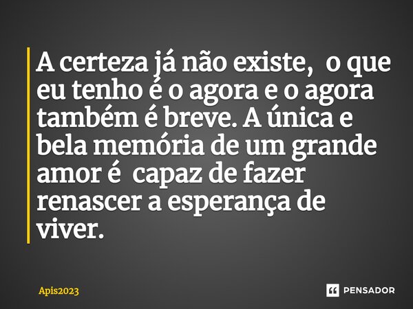 ⁠A certeza já não existe, o que eu tenho é o agora e o agora também é breve. A única e bela memória de um grande amor é capaz de fazer renascer a esperança de v... Frase de Apis2023.