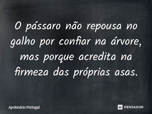 ⁠O pássaro não repousa no galho por confiar na árvore, mas porque acredita na firmeza das próprias asas.... Frase de Apolenário Portugal.