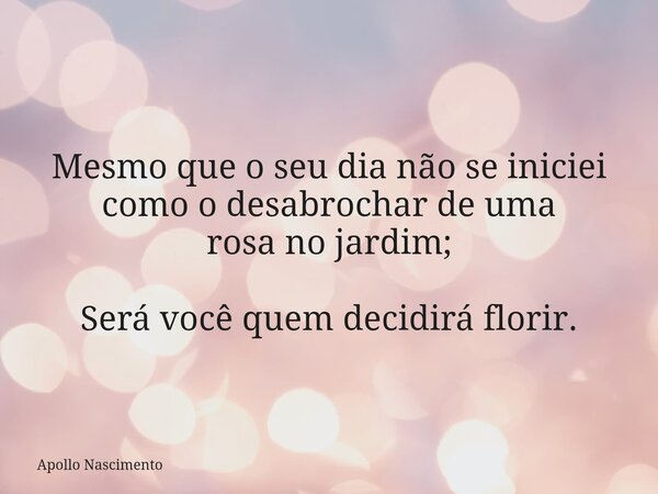 Mesmo que o seu dia não se iniciei como o desabrochar de uma rosa no jardim; Será você quem decidirá florir.... Frase de Apollo Nascimento.