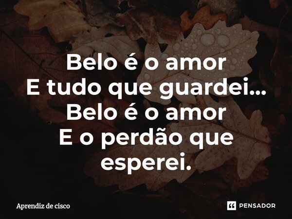 Belo é o amor E tudo que guardei... Belo é o amor E o perdão que esperei.⁠... Frase de Aprendiz de cisco.