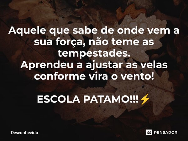 ⁠Aquele que sabe de onde vem a sua força, não teme as tempestades. Aprendeu a ajustar as velas conforme vira o vento! ESCOLA PATAMO!!!⚡