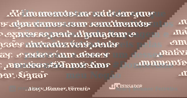 Há momentos na vida em que nos deparamos com sentimentos não expresso pela linguagem e emoções intraduzíveis pelas palavras, e esse é um desses momentos, por is... Frase de Aracy Bonner Ferreira.