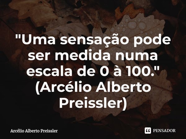 ⁠"Uma sensação pode ser medida numa escala de 0 à 100." (Arcélio Alberto Preissler)... Frase de Arcélio Alberto Preissler.