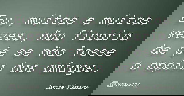 Eu, muitas e muitas vezes, não ficaria de pé se não fosse o apoio dos amigos.... Frase de Arcise Câmara.