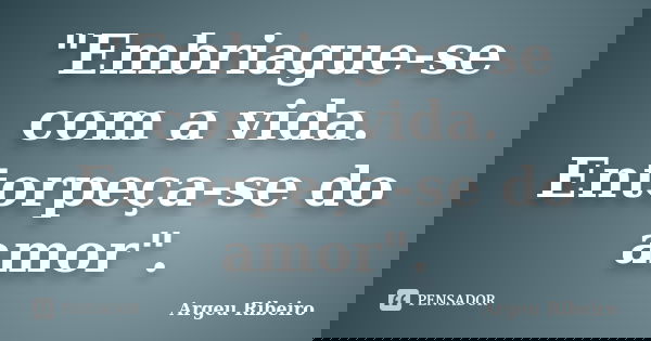 "Embriague-se com a vida. Entorpeça-se do amor".... Frase de Argeu Ribeiro.