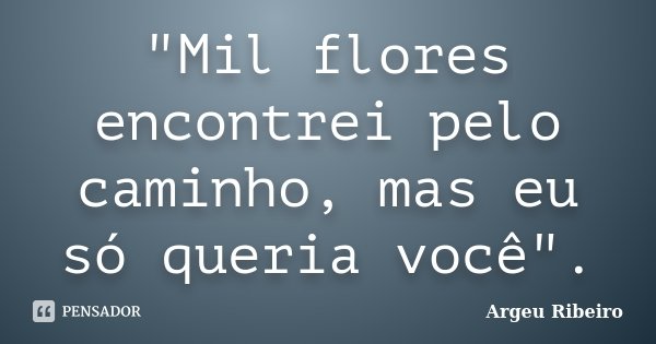 "Mil flores encontrei pelo caminho, mas eu só queria você".... Frase de Argeu Ribeiro.
