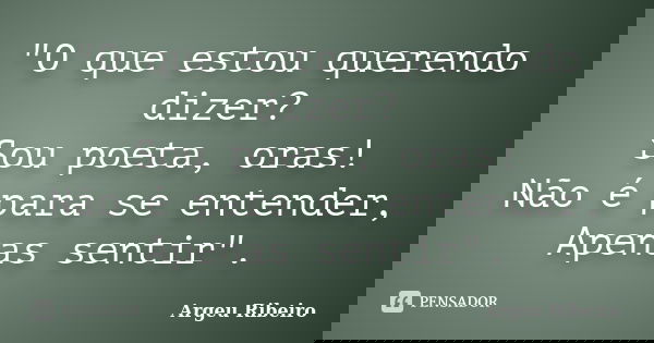 "O que estou querendo dizer? Sou poeta, oras! Não é para se entender, Apenas sentir".... Frase de Argeu Ribeiro.