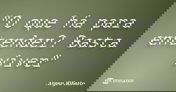 "O que há para entender? Basta viver"... Frase de Argeu Ribeiro.
