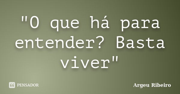 "O que há para entender? Basta viver"... Frase de Argeu Ribeiro.