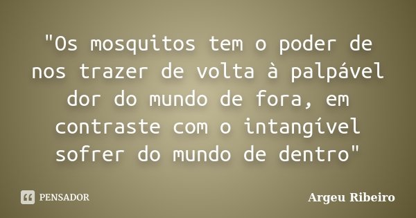 "Os mosquitos tem o poder de nos trazer de volta à palpável dor do mundo de fora, em contraste com o intangível sofrer do mundo de dentro"... Frase de Argeu Ribeiro.