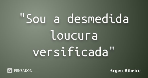"Sou a desmedida loucura versificada"... Frase de Argeu Ribeiro.