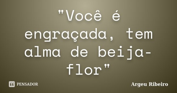 "Você é engraçada, tem alma de beija-flor"... Frase de Argeu Ribeiro.