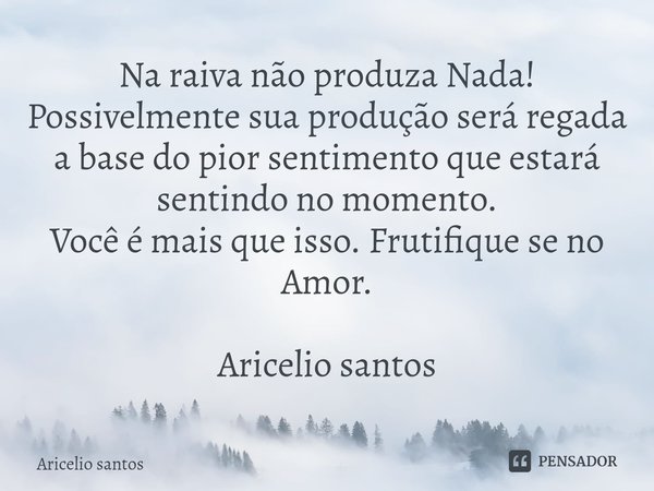 ⁠Na raiva não produza Nada! Possivelmente sua produção será regada a base do pior sentimento que estará sentindo no momento. Você é mais que isso. Frutifique se... Frase de Aricelio santos.