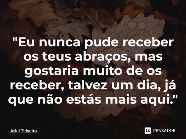 "⁠Eu nunca pude receber os teus abraços, mas gostaria muito de os receber, talvez um dia, já que não estás mais aqui."... Frase de Ariel Teixeira.