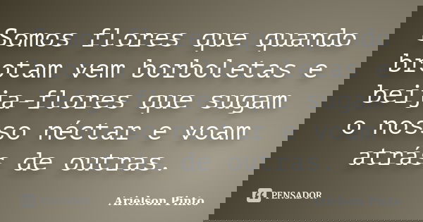 Somos flores que quando brotam vem borboletas e beija-flores que sugam o nosso néctar e voam atrás de outras.... Frase de Arielson Pinto.