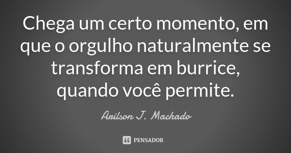 Chega um certo momento, em que o orgulho naturalmente se transforma em burrice, quando você permite.... Frase de Arilson J. Machado.