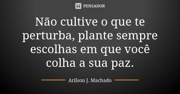 Não cultive o que te perturba, plante sempre escolhas em que você colha a sua paz.... Frase de Arilson J. Machado.