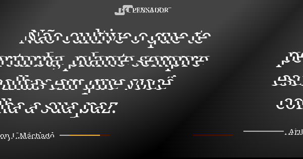 Não cultive o que te perturba, plante sempre escolhas em que você colha a sua paz.... Frase de Arilson J. Machado.