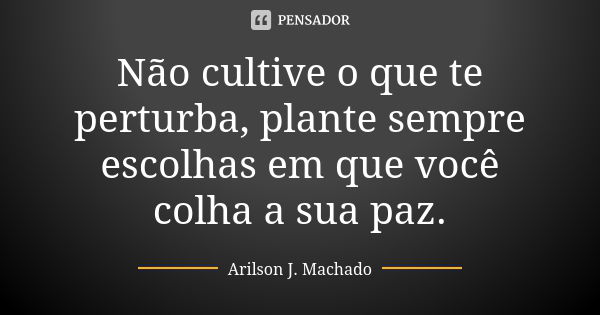 Não cultive o que te perturba, plante sempre escolhas em que você colha a sua paz.... Frase de Arilson J. Machado.