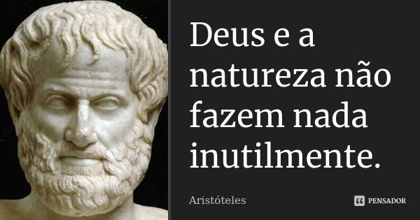 Deus e a natureza não fazem nada inutilmente.... Frase de Aristóteles.