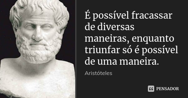 É possível fracassar de diversas maneiras, enquanto triunfar só é possível de uma maneira.... Frase de Aristóteles.