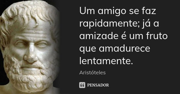 Um amigo se faz rapidamente; já a amizade é um fruto que amadurece lentamente.... Frase de Aristóteles.