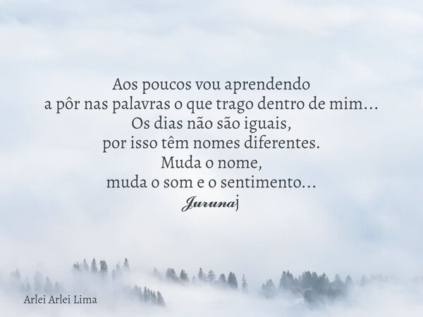 Aos poucos vou aprendendo a pôr nas palavras o que trago dentro de mim... Os dias não são iguais, por isso têm nomes diferentes. Muda o nome, muda o som e o sen... Frase de Arlei Arlei Lima.