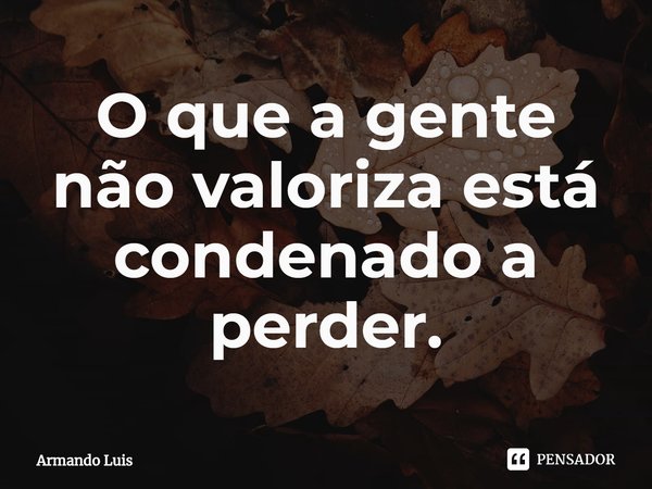 ⁠O que a gente não valoriza está condenado a perder.... Frase de Armando Luis.