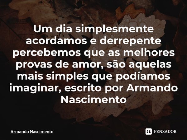 ⁠Um dia simplesmente acordamos e derrepente percebemos que as melhores provas de amor, são aquelas mais simples que podíamos imaginar, escrito por Armando Nasci... Frase de Armando Nascimento.