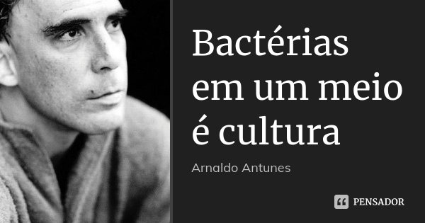 Bactérias em um meio é cultura... Frase de Arnaldo Antunes.
