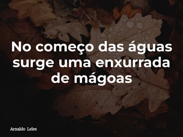 No começo das águas surge uma enxurrada de mágoas... Frase de Arnaldo Leles.