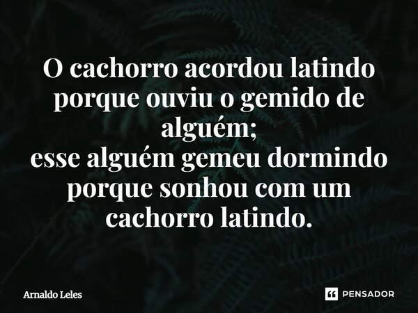⁠O cachorro acordou latindo porque ouviu o gemido de alguém; esse alguém gemeu dormindo porque sonhou com um cachorro latindo.... Frase de Arnaldo Leles.