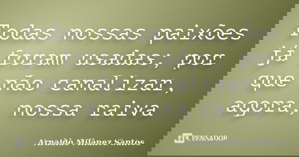 Todas nossas paixões já foram usadas; por que não canalizar, agora, nossa raiva... Frase de Arnaldo Milanez Santos.