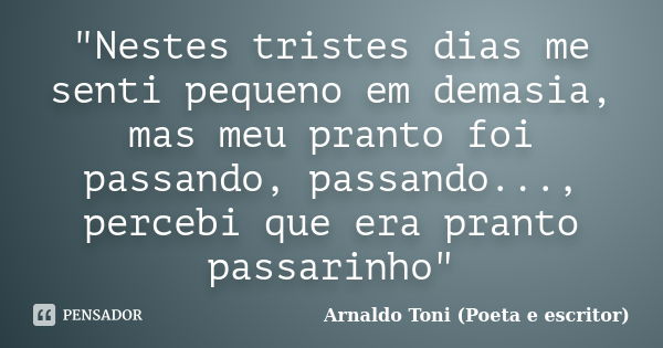 "Nestes tristes dias me senti pequeno em demasia, mas meu pranto foi passando, passando..., percebi que era pranto passarinho"... Frase de Arnaldo Toni (poeta e escritor).