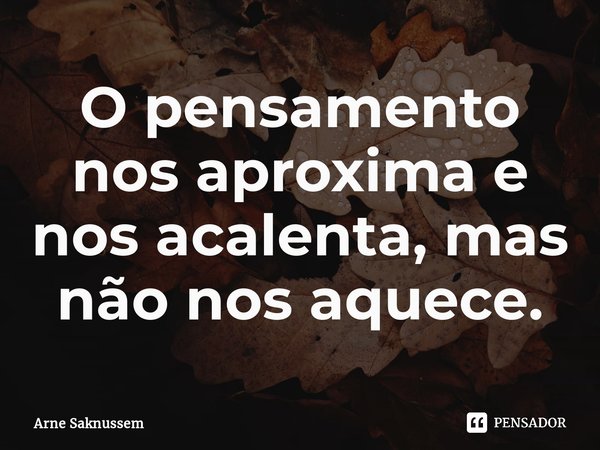 ⁠O pensamento nos aproxima e nos acalenta, mas não nos aquece.... Frase de Arne Saknussem.