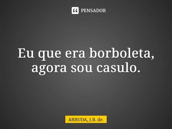 Eu que era borboleta, agora sou casulo.... Frase de ARRUDA, J.B. de..