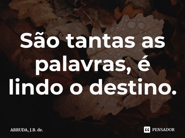 ⁠São tantas as palavras, é lindo o destino.... Frase de ARRUDA, J.B. de..