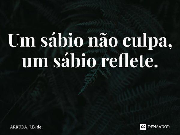 Um sábio não culpa, um sábio reflete. ⁠... Frase de ARRUDA, J.B. de..